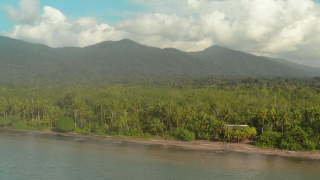 Pacific Coast With Rainforest