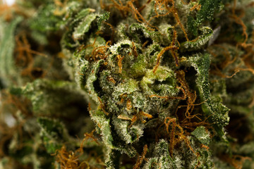 Fibers and crystals on a cannabis bud