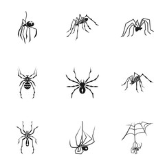 Spider bug icon set. Simple set of 9 spider bug vector icons for web design isolated on white background
