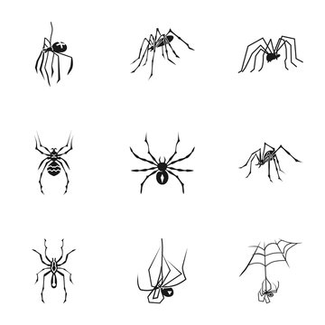 Spider bug icon set. Simple set of 9 spider bug vector icons for web design isolated on white background