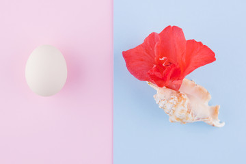 Surrealistic concept on pastel background. Seashell, gladiolus flower and egg. Creative concept with red flower on pink blue background. New life