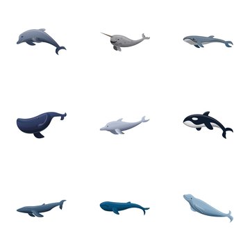 Wildlife whale icon set. Cartoon set of 9 wildlife whale vector icons for web design isolated on white background