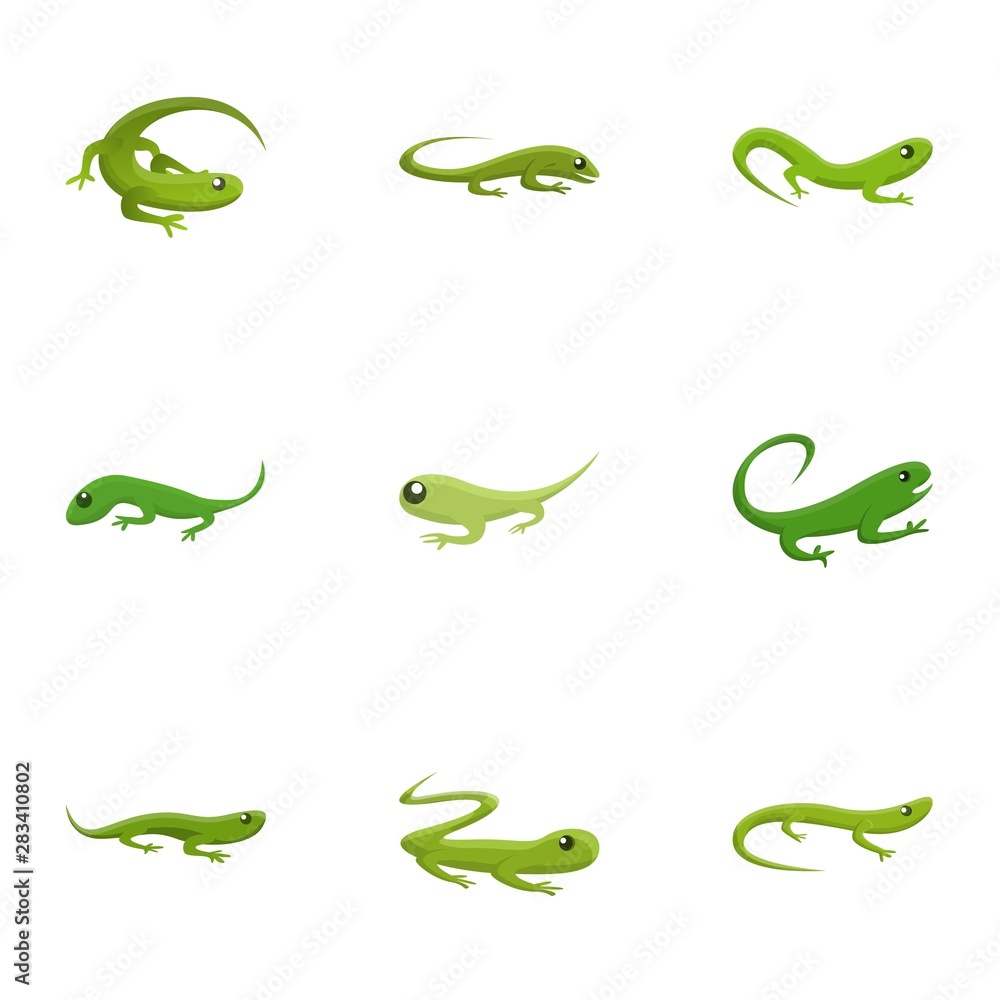 Poster exotic lizard icon set. cartoon set of 9 exotic lizard vector icons for web design isolated on white