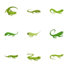Exotic lizard icon set. Cartoon set of 9 exotic lizard vector icons for web design isolated on white background