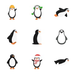 Penguin character icon set. Cartoon set of 9 penguin character vector icons for web design isolated on white background