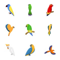 Cute parrot icon set. Cartoon set of 9 cute parrot vector icons for web design isolated on white background