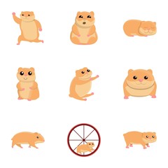 Funny hamster icon set. Cartoon set of 9 funny hamster vector icons for web design isolated on white background