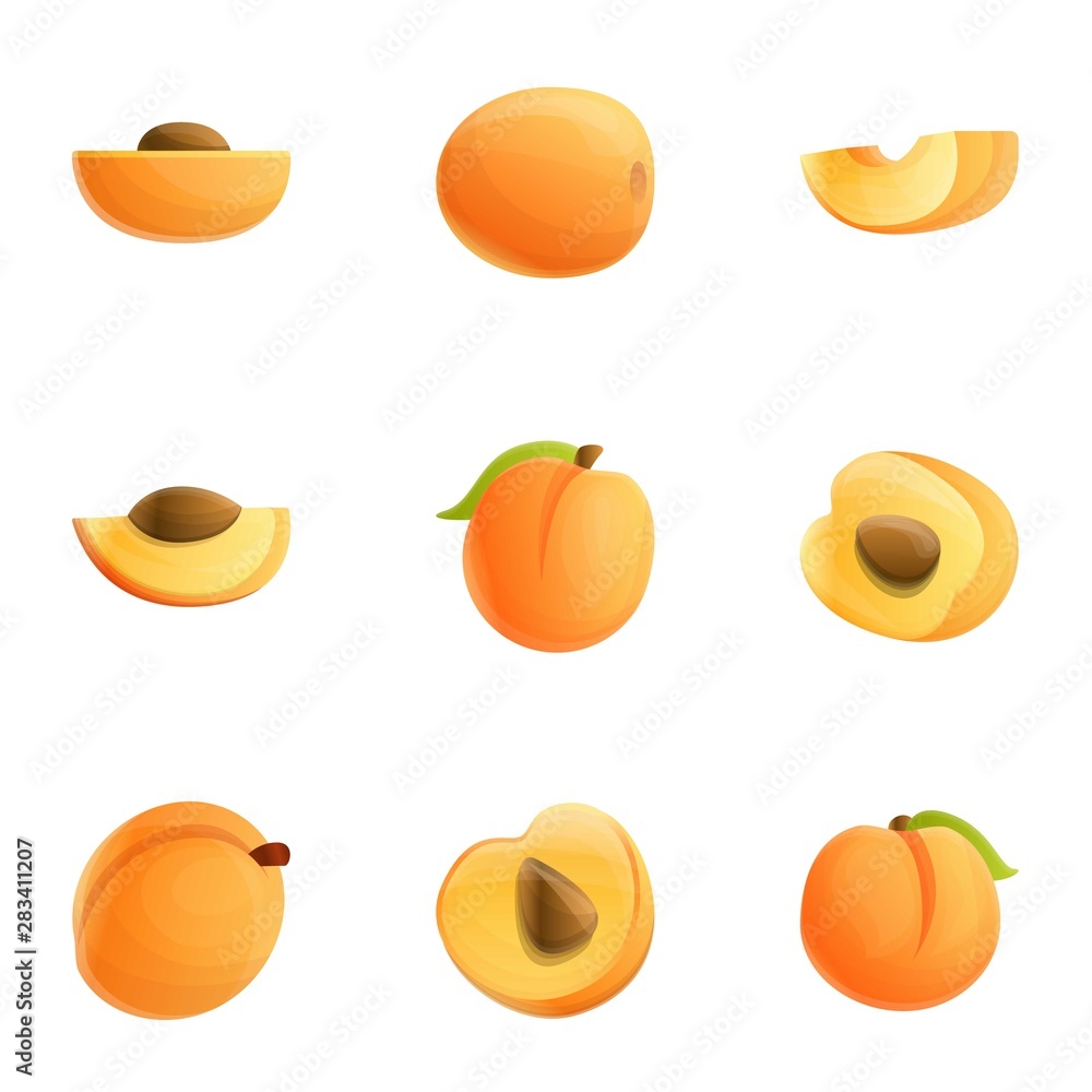 Poster peach juice icon set. cartoon set of 9 peach juice vector icons for web design isolated on white bac
