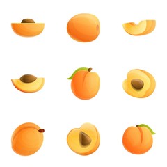 Peach juice icon set. Cartoon set of 9 peach juice vector icons for web design isolated on white background