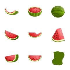 Vegan watermelon icon set. Cartoon set of 9 vegan watermelon vector icons for web design isolated on white background