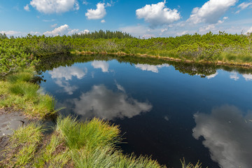 Clouds reflecting in the Lovrenc lakes (Lovrenšla jezera) in the mountain marshlands near Rogla, Slovenia