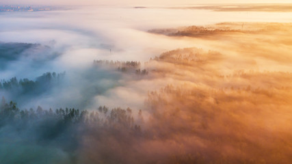 Morning fog over woodland. Summer nature landscape aerial panorama