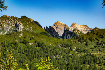 the flower trail at Brocon pass number five