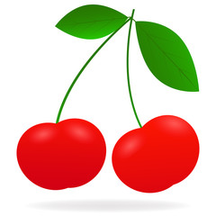 Vector drawing of realistic, bright, juicy berries cherry with highlight and shadow on white background.