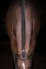 English Braids