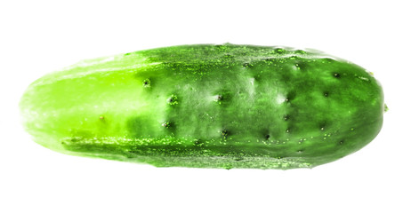 Green cucumber vegetable isolated on white background