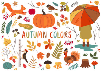 set of isolated autumn colorful elements  - vector illustration, eps    