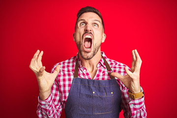Young handsome man wearing shop owner apron uniform over red isolated background crazy and mad...
