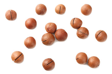 Macadamia nut isolated on a white background. top view