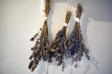 Soft - focus dry lavender hanging in the white wall. Close up