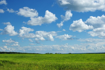 green field and clouds. Perm region. Russia