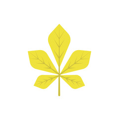 Autumn leave, yellow icon. Element of color autumn flora icon