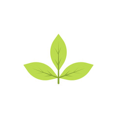 Obraz premium Autumn leave, green icon. Element of color autumn flora icon