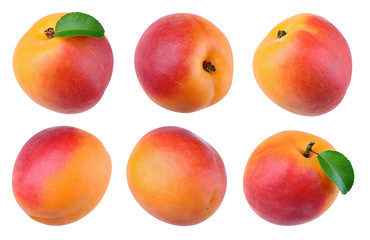 Apricots isolate. Apricot with leaf on white. Apricot fruit set. With clipping path.