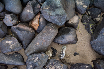Black volcanic rock on a beach, with negative space for text and copy.