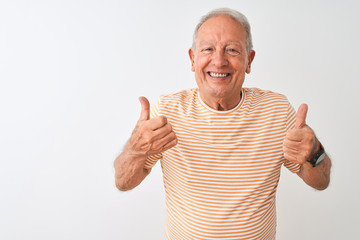 Senior grey-haired man wearing striped t-shirt standing over isolated white background success sign doing positive gesture with hand, thumbs up smiling and happy. Cheerful expression 