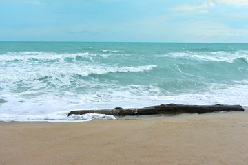 Beach, sea, sound of waves and wind With beautiful sand Can be truly natural