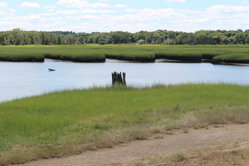 Salt Marsh