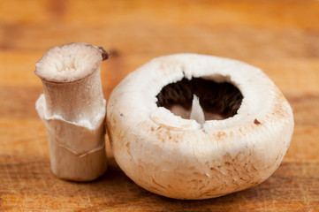 Mushrooms on wooden board isolated on white background. Healthy food.Copy space