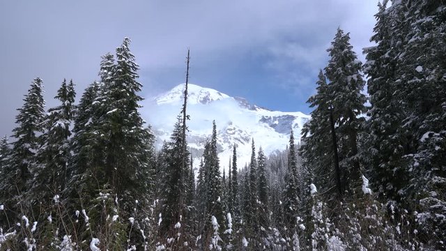 Mt Rainer National Park, WA Mt Rainer snow in the mountains