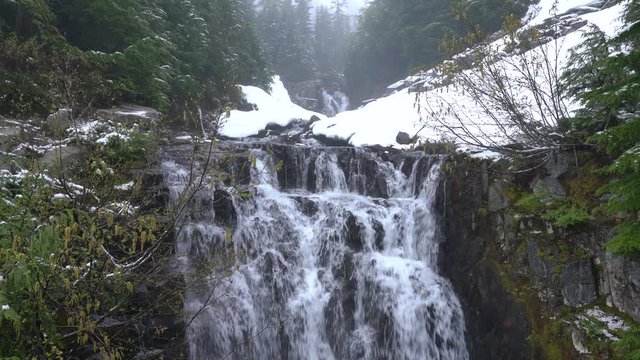 Mt Rainer Stream and waterfalls Mt Rainer National Park, WA