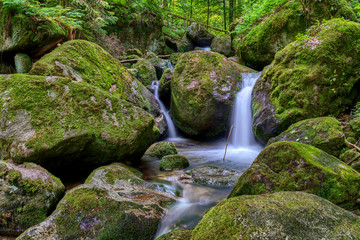 Fototapeta premium Water streaming over rocky cascades along famous Gertelbach waterfalls, Black Forest, Germany