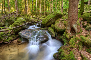 Water streaming over rocky cascades along famous Gertelbach waterfalls, Black Forest, Germany
