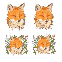 The head of a fox surrounded by clover and fern. Isolate on a white background. Vector graphics.