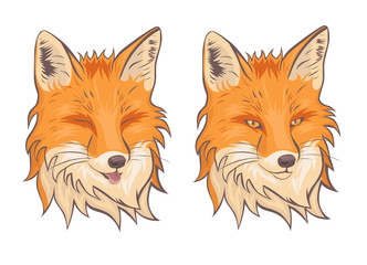 The head of the fox. Isolate on a white background. Vector graphics.