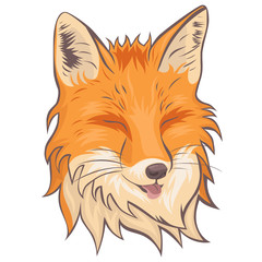 The head of the fox. Isolate on a white background. Vector graphics.