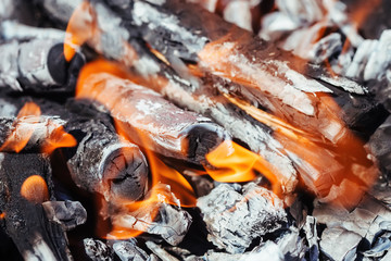 Obraz na płótnie Canvas Firewood burning in brazier. Barbecue preparation. Glowing flame