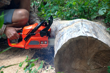 guy cuts a chainsaw stump of a fallen tree