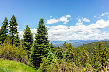 Fototapeta na wymiar Carson National Forest green pine trees with Sangre de Cristo mountains on summer peak overlook from route 76 high road to Taos