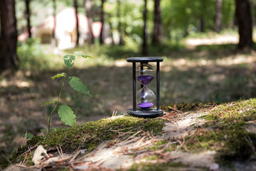 Sand running through the bulbs of an hourglass measuring the passing time in a countdown to a...
