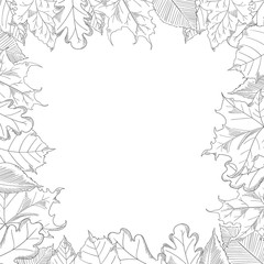 Fototapeta na wymiar autumn leaves frame in a sketch style. Maple and Oak Trees.