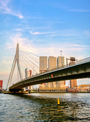 Fototapeta na wymiar A view of the Erasmusbrug (Erasmus Bridge) which connects the north and south parts of Rotterdam, the Netherlands.