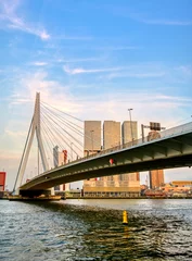 Wall murals Erasmus Bridge A view of the Erasmusbrug (Erasmus Bridge) which connects the north and south parts of Rotterdam, the Netherlands.