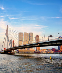 Obraz premium A view of the Erasmusbrug (Erasmus Bridge) which connects the north and south parts of Rotterdam, the Netherlands.