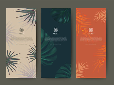 Fototapeta Branding Packaging tropical plant leaf summer pattern background, for spa resort luxury hotel, logo banner voucher, fabric pattern, organic texture. vector illustration.