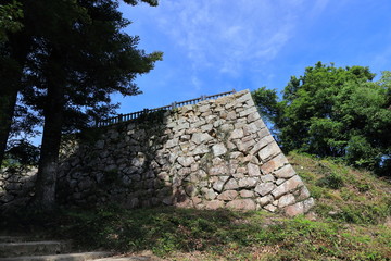 Bitchu matuyama castle in Takahasi city in Japan